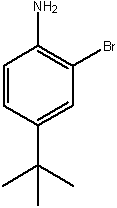 2-溴-4-叔丁基苯胺